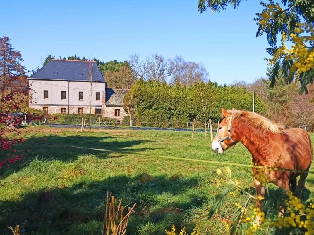 Chambre D'Hote En Gite - Moulin De La Houssaie - Broceliande Guer Exterior photo