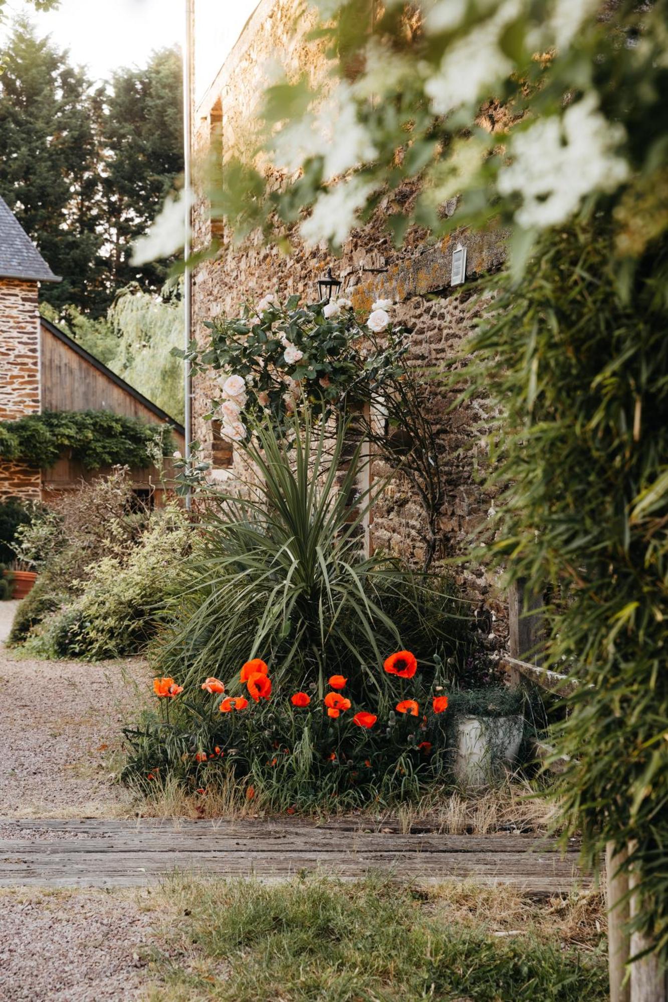 Chambre D'Hote En Gite - Moulin De La Houssaie - Broceliande Guer Exterior photo